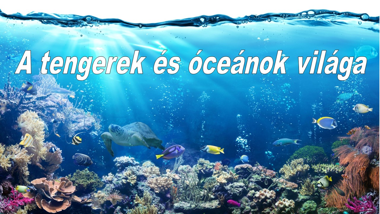 STEM kuckó